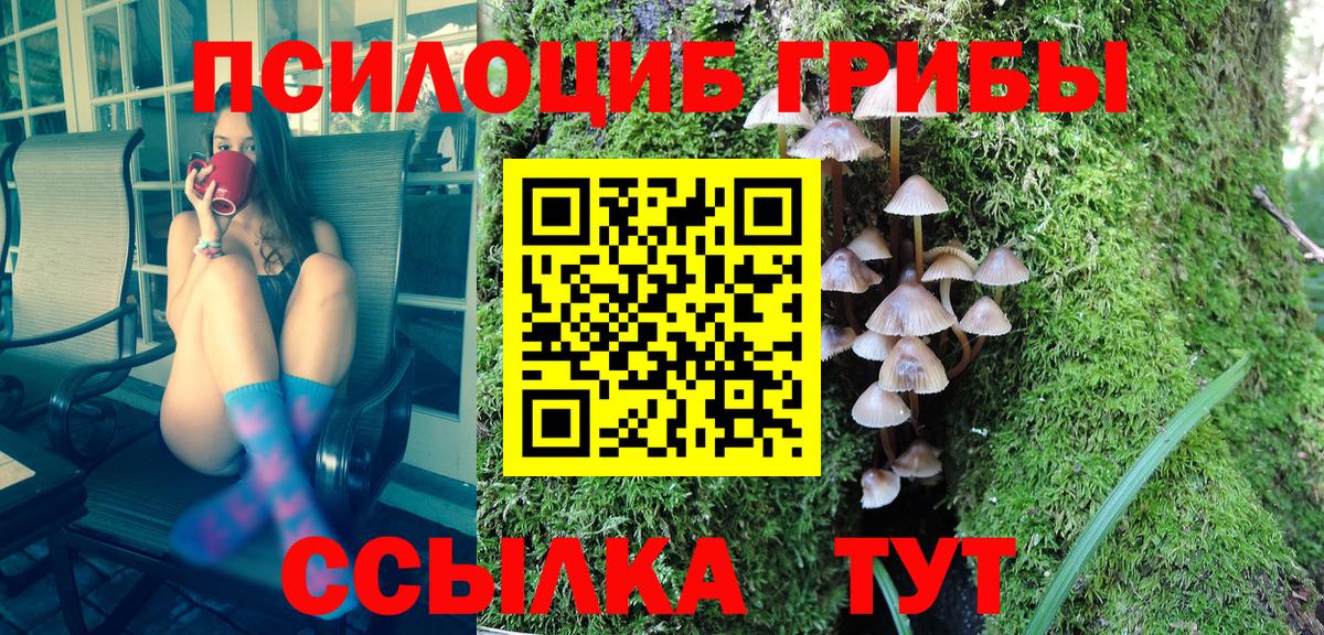 Псилоцибиновые грибы Psilocybine cubensis  Псилоцибиновые грибы Cubensis  Вход с VPN  Йошкар-Ола 