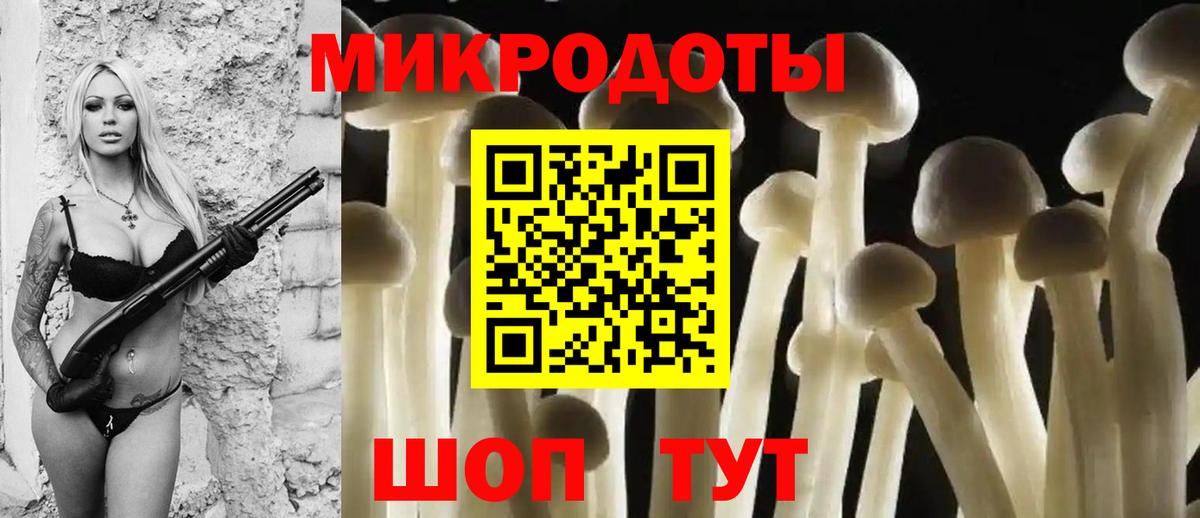 Псилоцибиновые грибы Psilocybine cubensis Йошкар-Ола